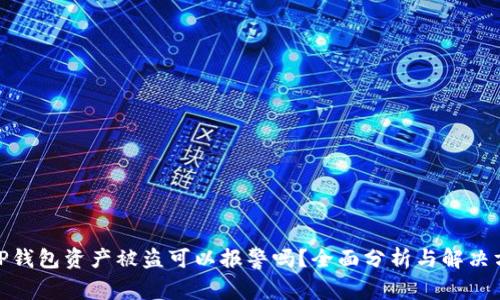 : TP钱包资产被盗可以报警吗？全面分析与解决方案