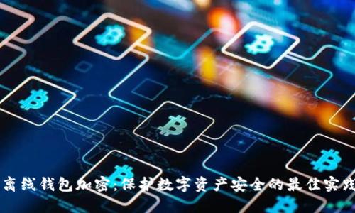 离线钱包加密：保护数字资产安全的最佳实践