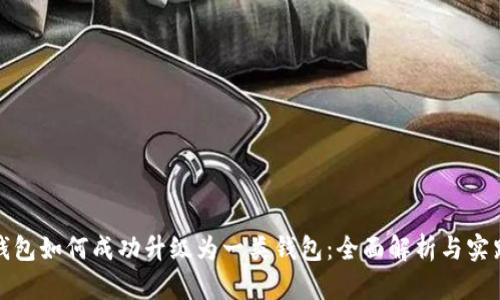 数字钱包如何成功升级为一类钱包：全面解析与实践指南