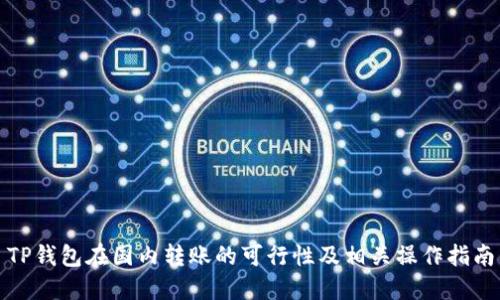 TP钱包在国内转账的可行性及相关操作指南