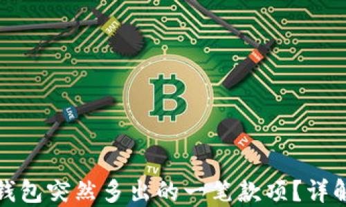 
如何处理TP钱包突然多出的一笔款项？详解及应对策略