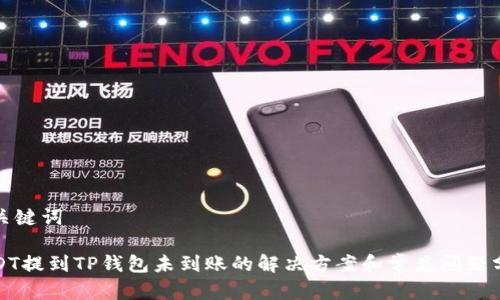 和关键词

USDT提到TP钱包未到账的解决方案和常见问题分析