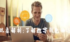 数字钱包逾期现象解析：