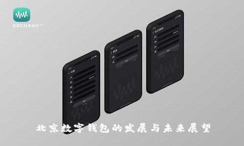 北京数字钱包的发展与未来展望
