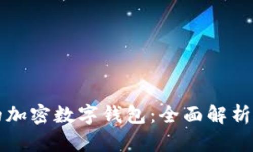 支持中文的加密数字钱包：全面解析及使用指南