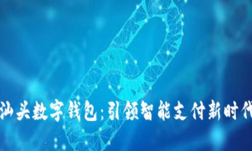 汕头数字钱包：引领智能支付新时代