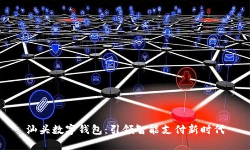 汕头数字钱包：引领智能支付新时代