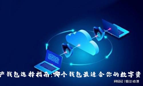 数字资产钱包选择指南：哪个钱包最适合你的数字资产管理？