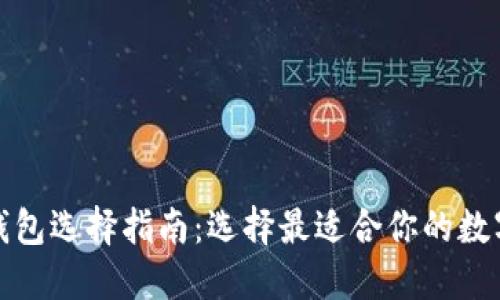 数字货币钱包选择指南：选择最适合你的数字货币钱包