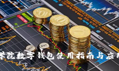 湖南信息学院数字钱包使用指南与应用前景分析