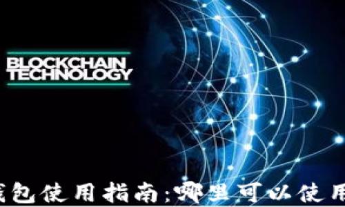 
深圳数字钱包使用指南：哪里可以使用数字钱包？