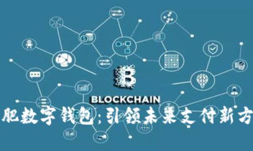 合肥数字钱包：引领未来支付新方式