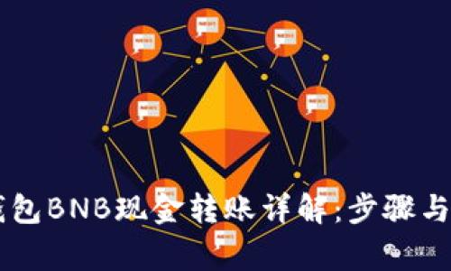 手机TP钱包BNB现金转账详解：步骤与注意事项