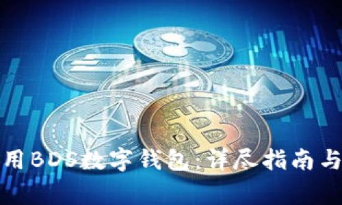 如何下载和使用BDS数字钱包：详尽指南与常见问题解答