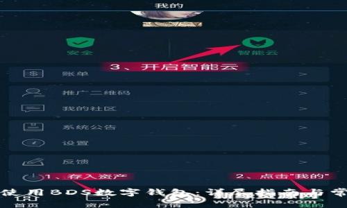 如何下载和使用BDS数字钱包：详尽指南与常见问题解答