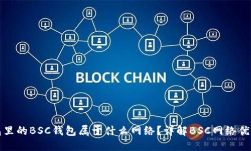 : TP钱包里的BSC钱包属于什么网络？详解BSC网络优势及应用