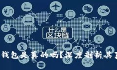 微信公众号t p钱包是真的