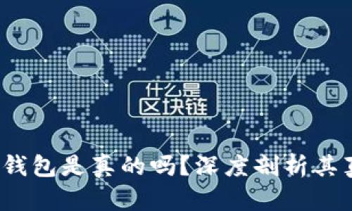 微信公众号t p钱包是真的吗？深度剖析其真实性与安全性