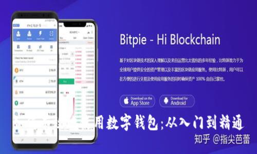 如何有效地使用数字钱包：从入门到精通