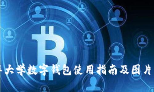 清华大学数字钱包使用指南及图片展示