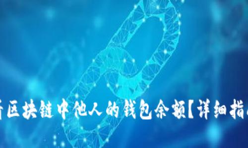 如何查看区块链中他人的钱包余额？详细指南与技巧