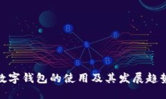 数字钱包的使用及其发展