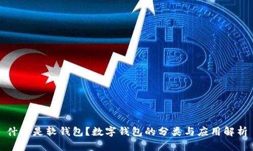 什么是软钱包？数字钱包的分类与应用解析