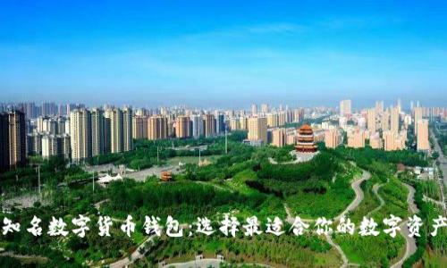 全面解析知名数字货币钱包：选择最适合你的数字资产保护工具