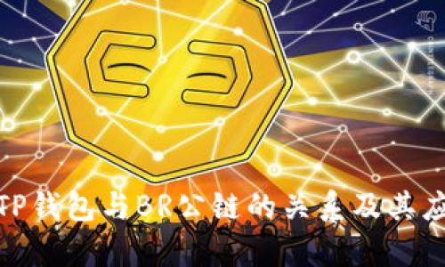 : 探索TP钱包与BR公链的关系及其应用前景