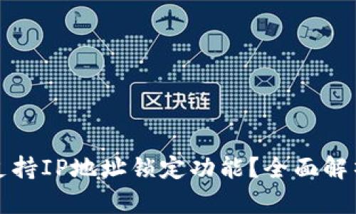 TP钱包是否支持IP地址锁定功能？全面解析与用户指南
