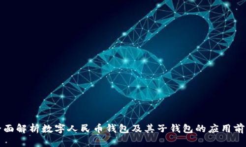 全面解析数字人民币钱包及其子钱包的应用前景