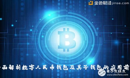 全面解析数字人民币钱包及其子钱包的应用前景
