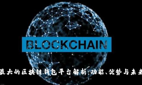 全球最大的区块链钱包平台解析：功能、优势与未来发展