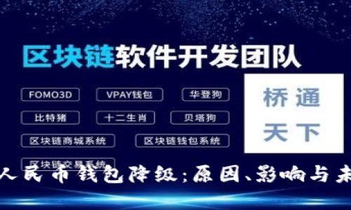 : 数字人民币钱包降级：原因、影响与未来发展