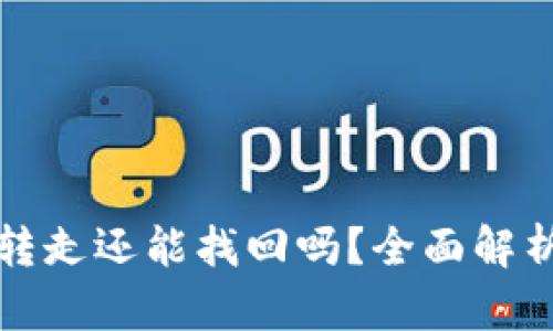 TP钱包币被转走还能找回吗？全面解析及解决方案