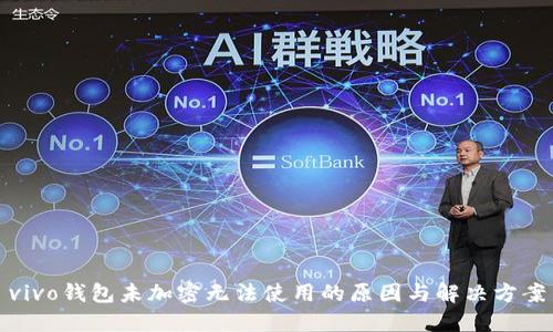 vivo钱包未加密无法使用的原因与解决方案