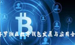 2021年罗湖区数字钱包发展与应用全景分析