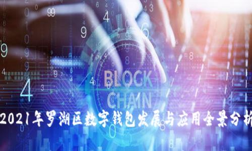 2021年罗湖区数字钱包发展与应用全景分析