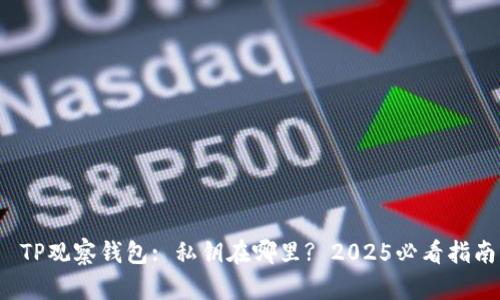  TP观察钱包: 私钥在哪里? 2025必看指南