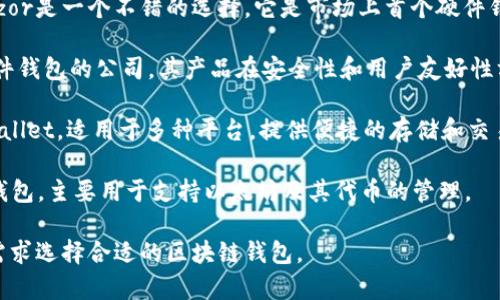 区块链钱包的开发公司有很多，以下是一些知名的公司和他们的产品：

1. **Coinbase**：作为一家全球知名的数字货币交易所，Coinbase也提供了用户友好的区块链钱包，让用户能够方便地存储、发送和接收各种数字资产。

2. **Binance**：作为世界上最大的加密货币交易平台之一，Binance提供了自己的钱包服务，旨在为用户提供一个安全且易于使用的数字资产存储解决方案。

3. **Blockchain.com**：Blockchain.com不仅仅是一个交易平台，同时他们的区块链钱包也是非常受欢迎的，提供了对多种加密货币的支持，用户界面友好。

4. **Exodus**：这是一款桌面和移动端的多资产钱包，支持多种区块链资产，具有美观的用户界面和便利的交换功能。

5. **Trezor**：如果用户关注安全性，那么硬件钱包Trezor是一个不错的选择。它是市场上首个硬件钱包，专注于提供高安全性的冷存储解决方案。

6. **Ledger**：类似于Trezor，Ledger也是一家提供硬件钱包的公司。其产品在安全性和用户友好性方面都有很好的评价。

7. **Trust Wallet**：早期由Binance收购的Trust Wallet，适用于多种平台，提供便捷的存储和交易功能。

8. **MetaMask**：为以太坊生态系统而创建的区块链钱包，主要用于支持以太坊及其代币的管理。

每家公司都有其特点和用户群体，用户可以根据自己的需求选择合适的区块链钱包。