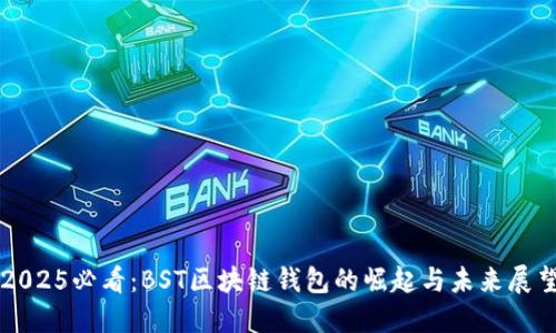 2025必看：BST区块链钱包的崛起与未来展望