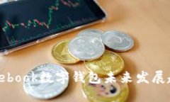 2025必看：Facebook数字钱包