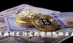 2025必看：区块链支付宝数