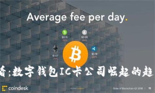 2025必看：数字钱包IC卡公司崛起的趋势与影响