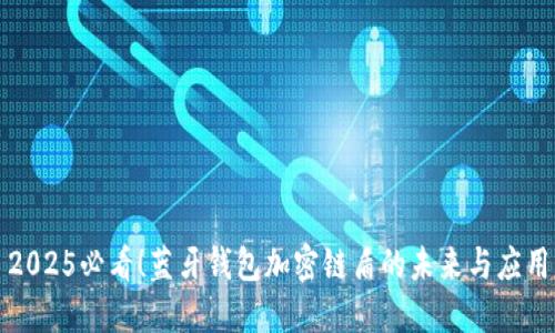 2025必看！蓝牙钱包加密链盾的未来与应用