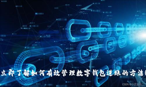 立即了解如何有效管理数字钱包进账的方法！
