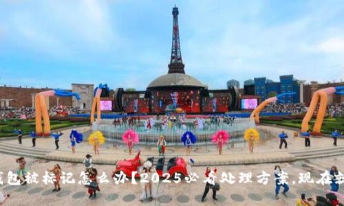 数字钱包被标记怎么办？2025必看处理方案，现在就学习！