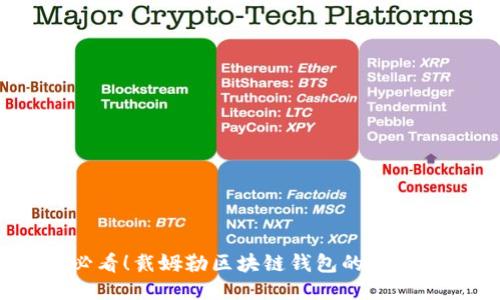 2025必看！戴姆勒区块链钱包的未来与机遇