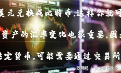 TP钱包是一种数字资产钱包，用户可以在其中存储各种加密货币，而不仅限于美元。具体来说，TP钱包支持多种主流加密货币，例如比特币（BTC）、以太坊（ETH）、波卡（DOT）等。

在讨论数字钱包时，重要的是要了解以下几点：

1. **货币种类**：TP钱包不局限于某种单一的货币，它可以支持多种加密货币。因此，在TP钱包中，你的钱可能是以比特币、以太坊或者其他加密货币的形式存在，而不仅仅是美元。

2. **法币与数字货币**：虽然TP钱包本身不直接存储法定货币（如美元），但是用户可以通过交易所或其他途径将法币兑换成数字货币，然后存入TP钱包。因此，如果你在TP钱包中看到了一定的金额，这个金额可能是以加密货币的形式存在，而不是美元。

3. **资金转换**：用户可以在多个平台上进行加密货币和法定货币之间的转换。例如，一些交易所允许用户将美元兑换成比特币，这样你就可以在TP钱包中存储比特币，而不仅仅是美元。

4. **资产管理**：使用TP钱包的用户需要了解如何管理不同种类的资产，注意安全性和私钥的保护。此外，跟踪资产的汇率变化也很重要，因为加密货币的价值波动往往很大。

总结来说，在TP钱包里的钱通常不是美元，而是以某种形式的加密货币存储的。如果你需要使用美元或者其他法定货币，可能需要通过交易所等渠道进行兑换。