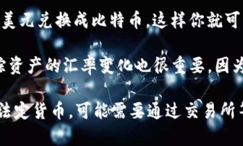 TP钱包是一种数字资产钱包，用户可以在其中存储各种加密货币，而不仅限于美元。具体来说，TP钱包支持多种主流加密货币，例如比特币（BTC）、以太坊（ETH）、波卡（DOT）等。

在讨论数字钱包时，重要的是要了解以下几点：

1. **货币种类**：TP钱包不局限于某种单一的货币，它可以支持多种加密货币。因此，在TP钱包中，你的钱可能是以比特币、以太坊或者其他加密货币的形式存在，而不仅仅是美元。

2. **法币与数字货币**：虽然TP钱包本身不直接存储法定货币（如美元），但是用户可以通过交易所或其他途径将法币兑换成数字货币，然后存入TP钱包。因此，如果你在TP钱包中看到了一定的金额，这个金额可能是以加密货币的形式存在，而不是美元。

3. **资金转换**：用户可以在多个平台上进行加密货币和法定货币之间的转换。例如，一些交易所允许用户将美元兑换成比特币，这样你就可以在TP钱包中存储比特币，而不仅仅是美元。

4. **资产管理**：使用TP钱包的用户需要了解如何管理不同种类的资产，注意安全性和私钥的保护。此外，跟踪资产的汇率变化也很重要，因为加密货币的价值波动往往很大。

总结来说，在TP钱包里的钱通常不是美元，而是以某种形式的加密货币存储的。如果你需要使用美元或者其他法定货币，可能需要通过交易所等渠道进行兑换。